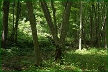 0_f6a43_1b05035f_orig.jpg
