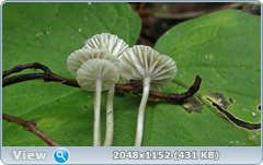 0_12ab1a_4e6b82c0_orig.png