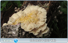 0_12abc7_a0a3bd7c_orig.png