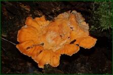 0_fc643_591161b0_orig.jpg