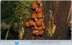 0_12ab4b_ea9409f2_orig.png
