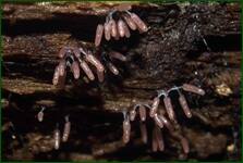 0_fdf11_1606c062_orig.jpg