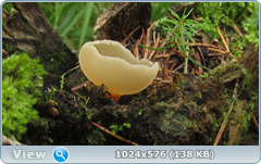 0_12aff4_9f1d5553_orig.png