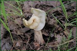 0_147467_9943c286_orig.jpg