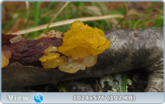 0_1276ca_f33c2f63_orig.png