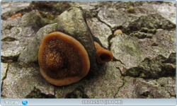 0_127737_4b78cffa_orig.png