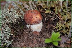 0_14b406_400d7135_orig.jpg