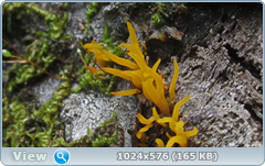 0_12abbb_3452e24a_orig.png