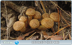 0_12d9b5_4787a1c2_orig.png
