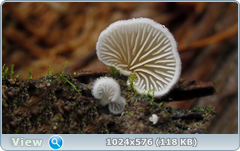 0_12d9f3_37188249_orig.png