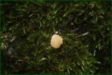 0_fded3_db938277_orig.jpg