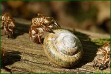 0_ff67c_77805b94_orig.jpg