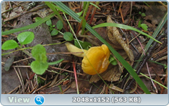 0_12ab2b_50189d27_orig.png