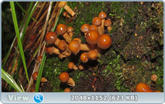 0_12ab49_186e9ebc_orig.png