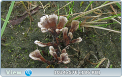0_12c1fb_1eb586e3_orig.png