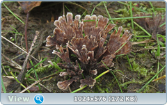 0_12c205_bbc6f911_orig.png