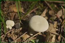 0_fe222_f55d112a_orig.jpg