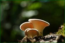 0_ff286_761d59c7_orig.jpg