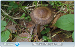 0_12ab50_df357788_orig.png
