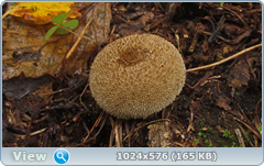 0_12d9fd_bc3c3e26_orig.png