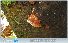 0_12da04_14390ec5_orig.png