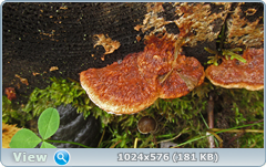 0_12da06_c16f17d5_orig.png