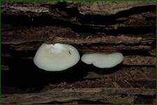 0_fe0d2_b809eb20_orig.jpg