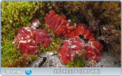 0_124527_b4d8c216_orig.png