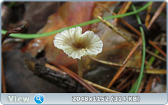 0_12ab10_7c29dfe0_orig.png