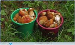 0_12ade2_4871eafa_orig.png