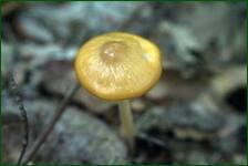 0_fca6c_2f0f5417_orig.jpg