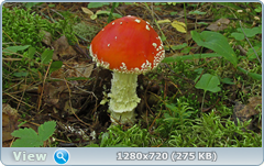 0_fbb6a_aa20a658_orig.png