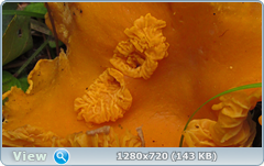0_ead12_7369ca43_orig.png