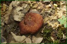 0_fc613_ea0e9084_orig.jpg