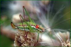 0_fdd5c_27b9933d_orig.jpg