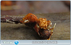 0_12afd0_51d1460d_orig.png