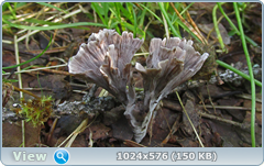 0_12c1e3_84b9ad0a_orig.png