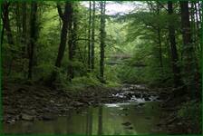 0_f6a8d_a66a582d_orig.jpg