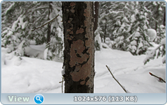 0_11c9de_19ee34d3_orig.png