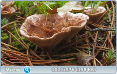 0_12c221_a1ce7b24_orig.png