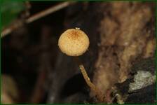0_fde8d_8a619784_orig.jpg