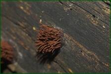 0_fe136_f76b7aac_orig.jpg