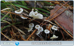 0_12ab0c_47f9b414_orig.png