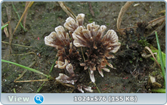 0_12c20b_767c0f52_orig.png