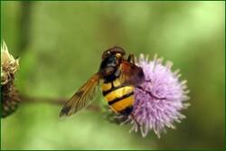 0_fdd76_231d544_orig.jpg