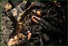 0_fdf01_359dc6d5_orig.jpg