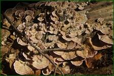 0_fdf3b_9acdb651_orig.jpg