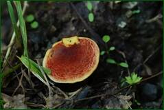0_ff852_b7247f0d_orig.jpg