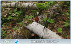0_127e80_a81f409b_orig.png