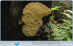 0_12bf37_24a3cf1c_orig.png
